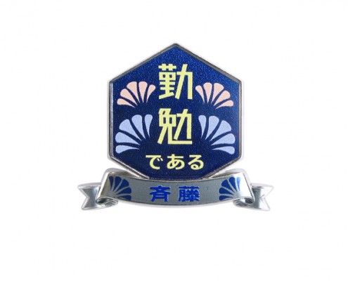 Custom Shaped Metal Commemorative Badge Pin