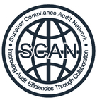 The pattern from logo of SCAN Audit